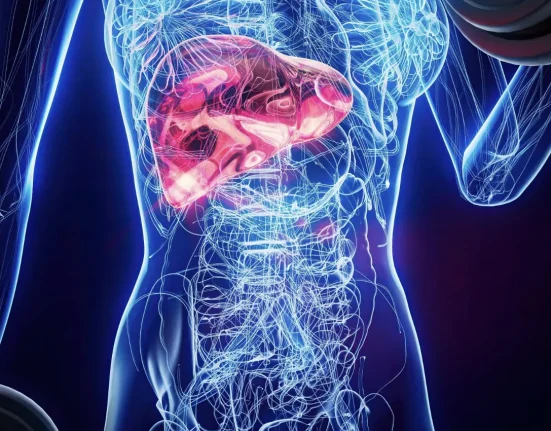 The Silent Organ That Decides How Fast You Age — Do You Know It?